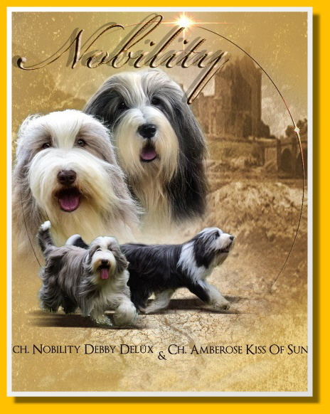 Willkommen auf unserer Bearded Collie Homepage